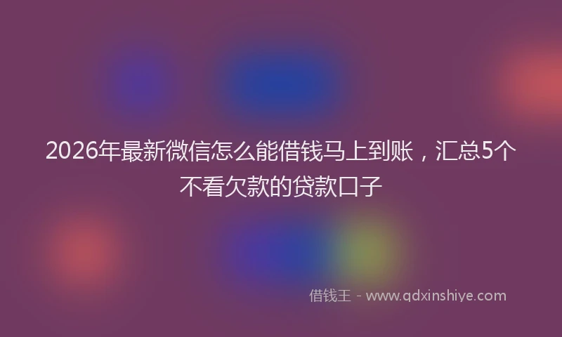 2026年最新微信怎么能借钱马上到账，汇总5个不看欠款的贷款口子