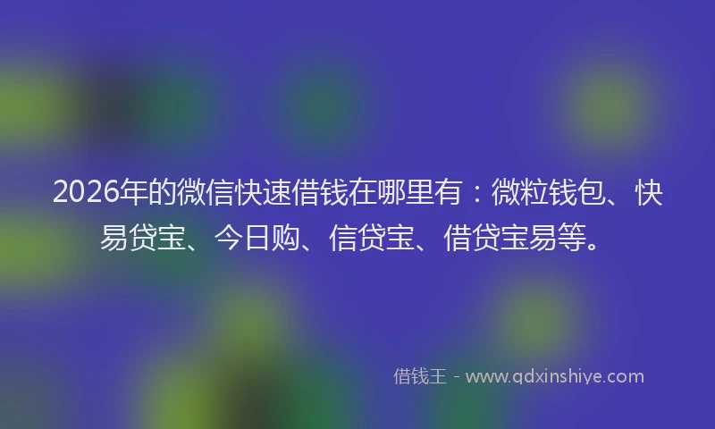2026年的微信快速借钱在哪里有：微粒钱包、快易贷宝、今日购、信贷宝、借贷宝易等。