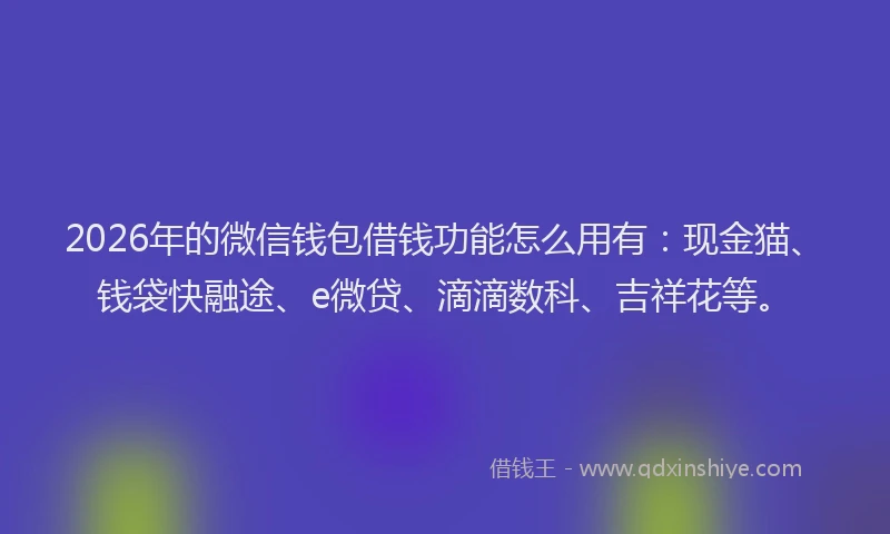 2026年的微信钱包借钱功能怎么用有：现金猫、钱袋快融途、e微贷、滴滴数科、吉祥花等。