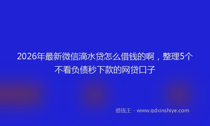 2026年最新微信滴水贷怎么借钱的啊，整理5个不看负债秒下款的网贷口子