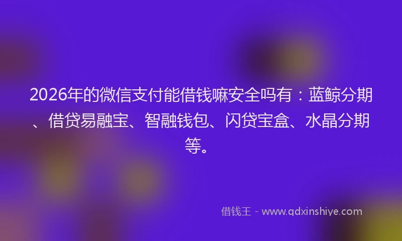 2026年的微信支付能借钱嘛安全吗有：蓝鲸分期、借贷易融宝、智融钱包、闪贷宝盒、水晶分期等。