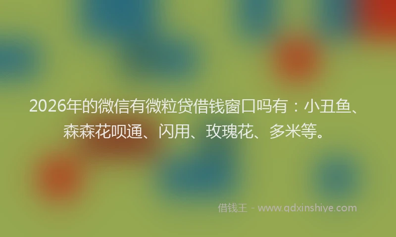 2026年的微信有微粒贷借钱窗口吗有：小丑鱼、森森花呗通、闪用、玫瑰花、多米等。
