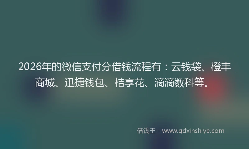 2026年的微信支付分借钱流程有：云钱袋、橙丰商城、迅捷钱包、桔享花、滴滴数科等。