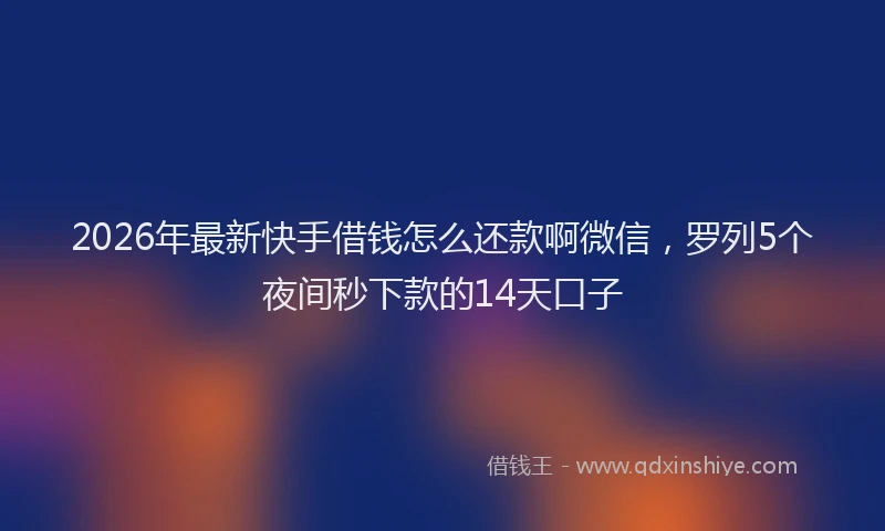 2026年最新快手借钱怎么还款啊微信，罗列5个夜间秒下款的14天口子