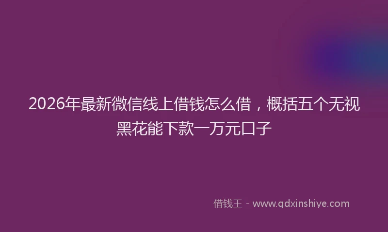 2026年最新微信线上借钱怎么借，概括五个无视黑花能下款一万元口子