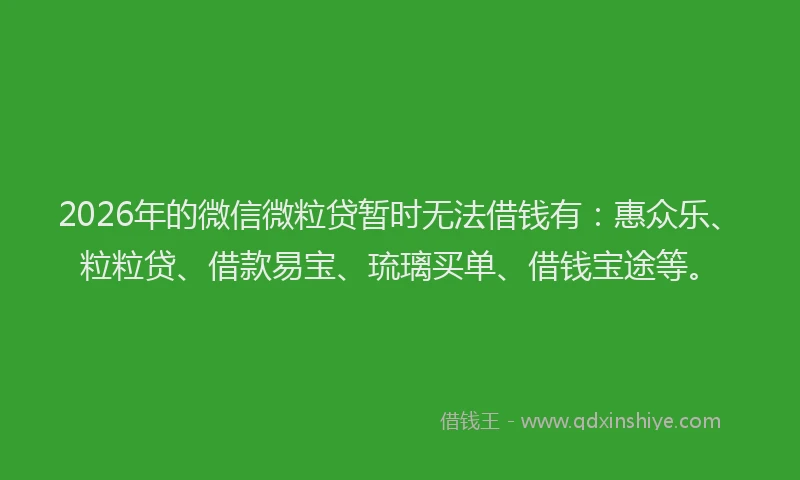 2026年的微信微粒贷暂时无法借钱有：惠众乐、粒粒贷、借款易宝、琉璃买单、借钱宝途等。