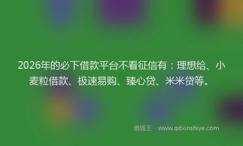 2026年的必下借款平台不看征信有：理想给、小麦粒借款、极速易购、臻心贷、米米贷等。