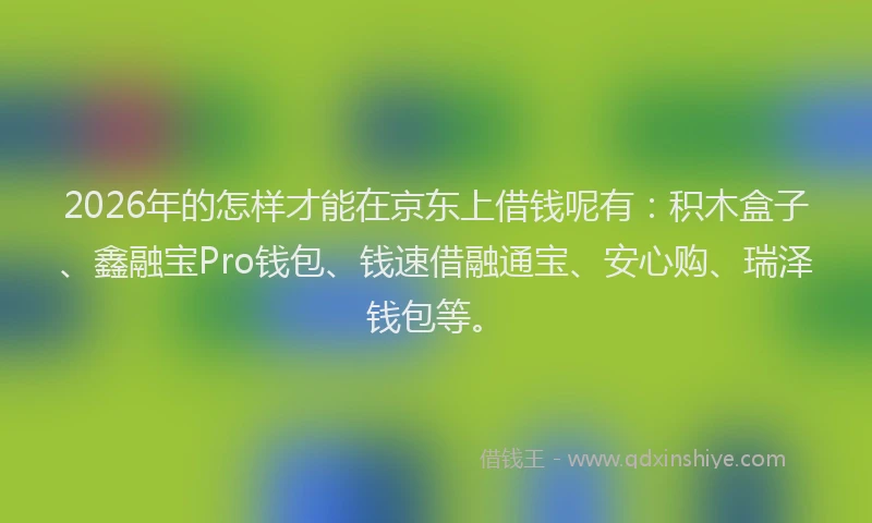 2026年的怎样才能在京东上借钱呢有：积木盒子、鑫融宝Pro钱包、钱速借融通宝、安心购、瑞泽钱包等。