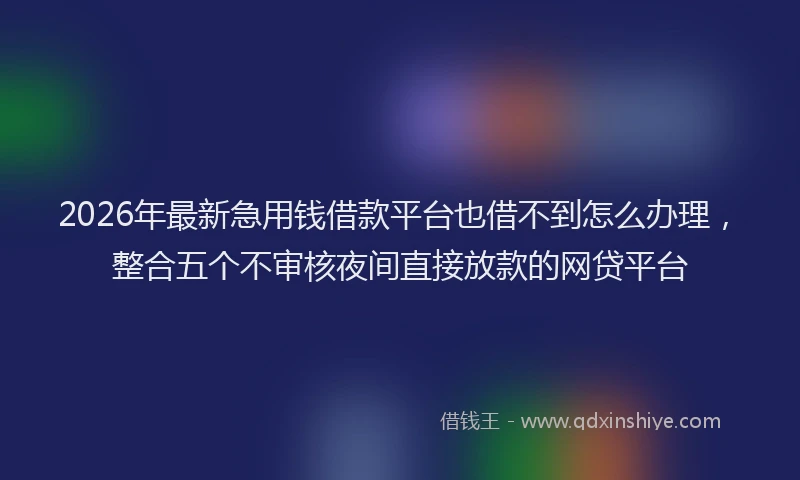 2026年最新急用钱借款平台也借不到怎么办理，整合五个不审核夜间直接放款的网贷平台