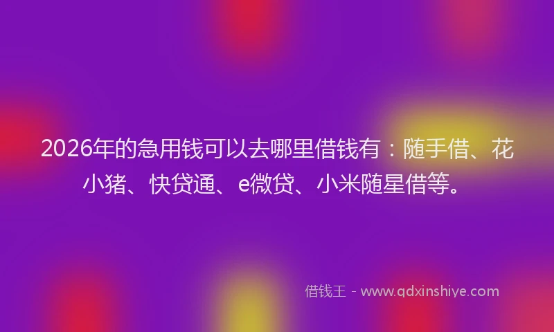 2026年的急用钱可以去哪里借钱有:随手借、花小猪、快贷通、e微贷、小米随星借等。