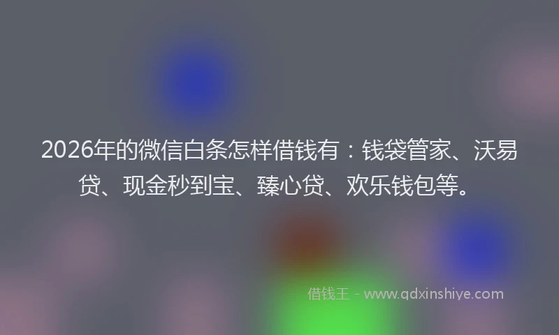 2026年的微信白条怎样借钱有：钱袋管家、沃易贷、现金秒到宝、臻心贷、欢乐钱包等。