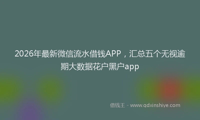 2026年最新微信流水借钱APP，汇总五个无视逾期大数据花户黑户app