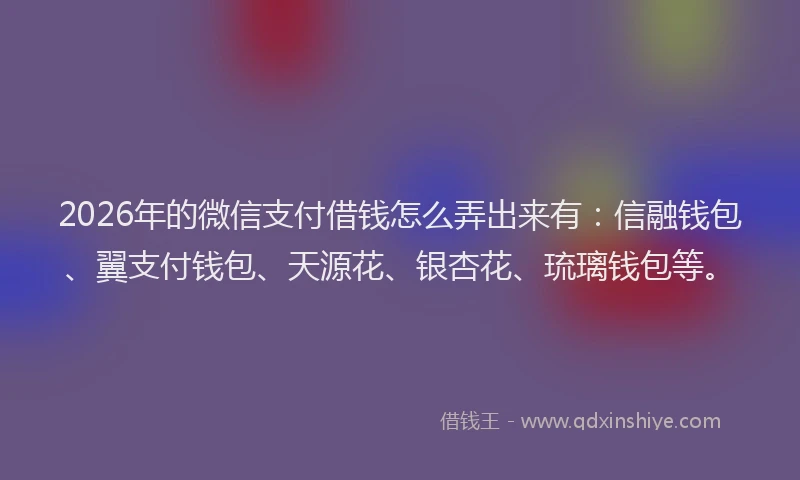 2026年的微信支付借钱怎么弄出来有：信融钱包、翼支付钱包、天源花、银杏花、琉璃钱包等。