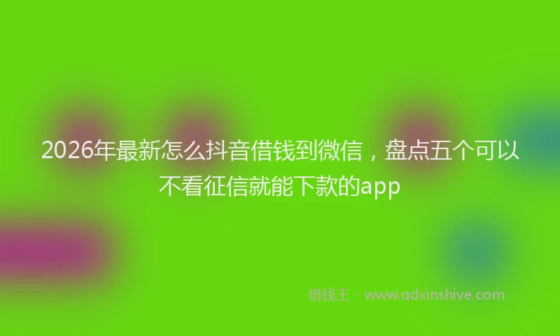 2026年最新怎么抖音借钱到微信，盘点五个可以不看征信就能下款的app