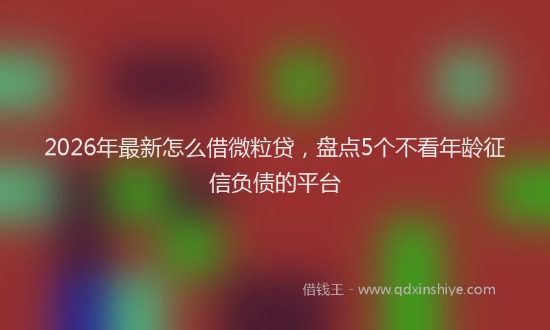 2026年最新怎么借微粒贷，盘点5个不看年龄征信负债的平台