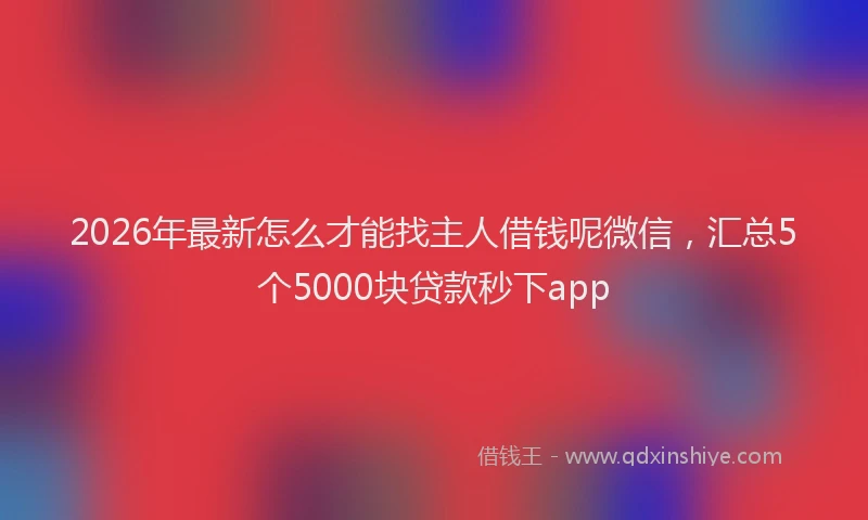2026年最新怎么才能找主人借钱呢微信，汇总5个5000块贷款秒下app