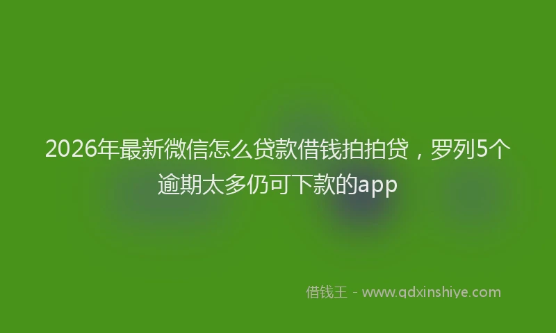 2026年最新微信怎么贷款借钱拍拍贷，罗列5个逾期太多仍可下款的app