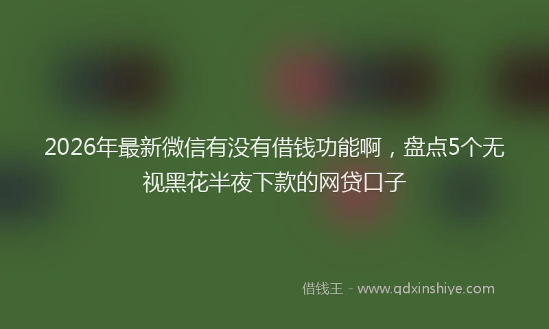 2026年最新微信有没有借钱功能啊，盘点5个无视黑花半夜下款的网贷口子
