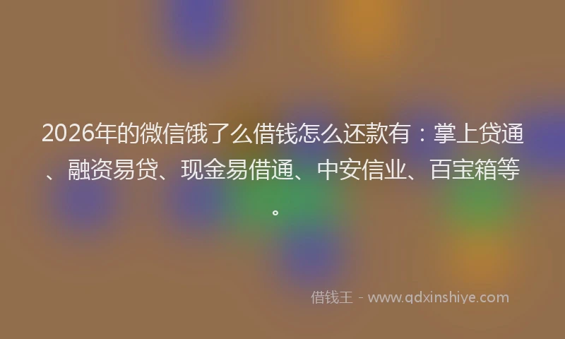 2026年的微信饿了么借钱怎么还款有：掌上贷通、融资易贷、现金易借通、中安信业、百宝箱等。