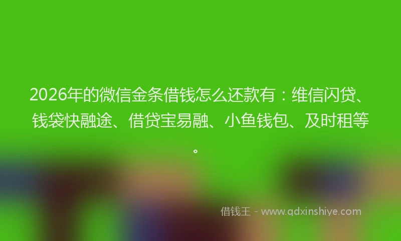 2026年的微信金条借钱怎么还款有：维信闪贷、钱袋快融途、借贷宝易融、小鱼钱包、及时租等。