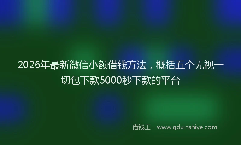 2026年最新微信小额借钱方法，概括五个无视一切包下款5000秒下款的平台