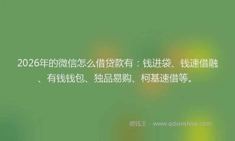 2026年的微信怎么借贷款有：钱进袋、钱速借融、有钱钱包、独品易购、柯基速借等。