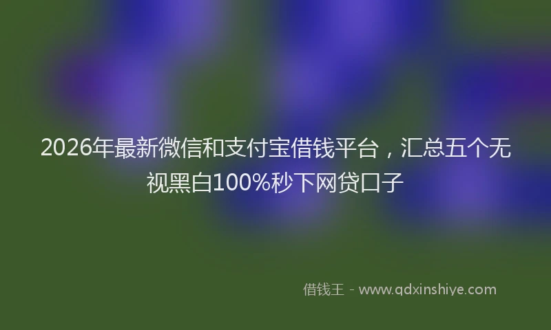2026年最新微信和支付宝借钱平台，汇总五个无视黑白100%秒下网贷口子