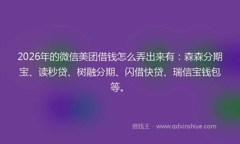 2026年的微信美团借钱怎么弄出来有：森森分期宝、读秒贷、树融分期、闪借快贷、瑞信宝钱包等。