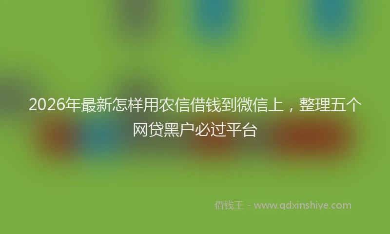 2026年最新怎样用农信借钱到微信上，整理五个网贷黑户必过平台