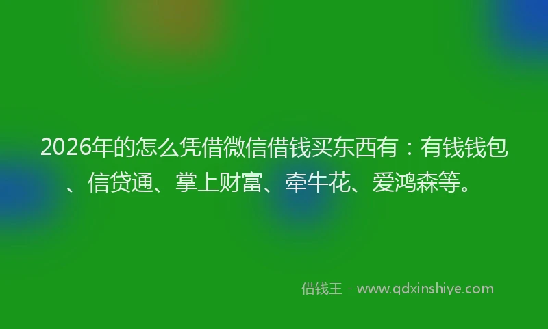 2026年的怎么凭借微信借钱买东西有：有钱钱包、信贷通、掌上财富、牵牛花、爱鸿森等。