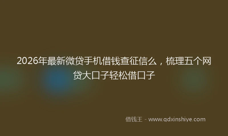 2026年最新微贷手机借钱查征信么，梳理五个网贷大口子轻松借口子