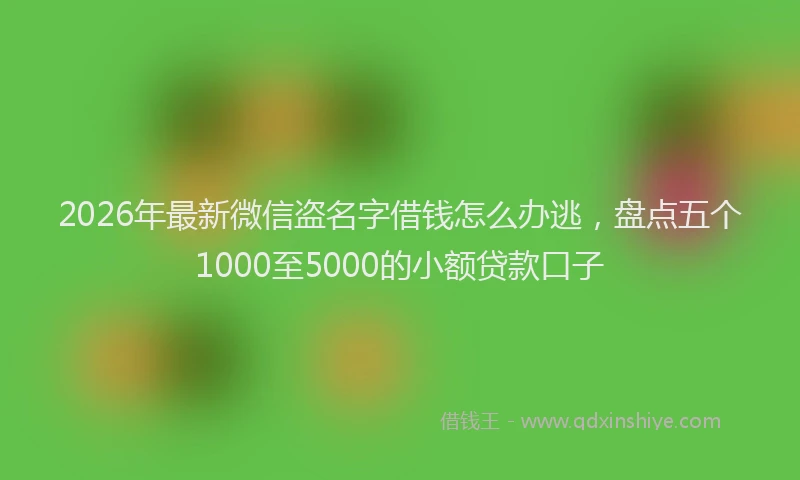2026年最新微信盗名字借钱怎么办逃，盘点五个1000至5000的小额贷款口子