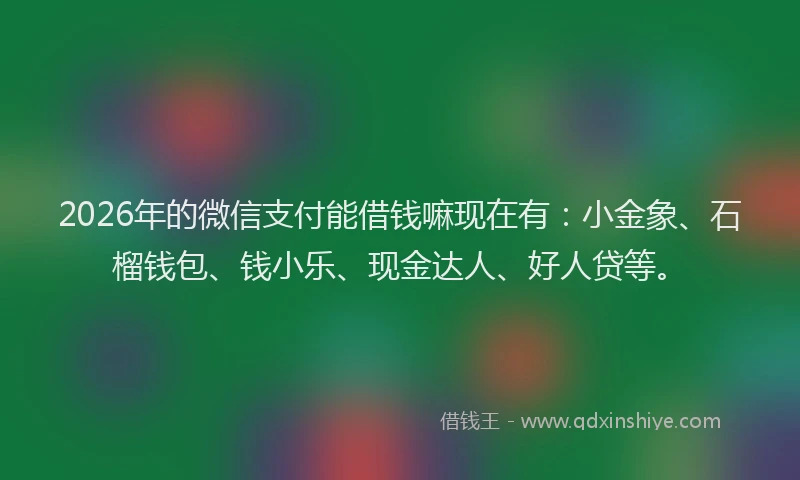 2026年的微信支付能借钱嘛现在有：小金象、石榴钱包、钱小乐、现金达人、好人贷等。