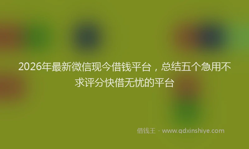 2026年最新微信现今借钱平台，总结五个急用不求评分快借无忧的平台
