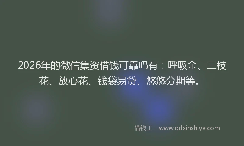 2026年的微信集资借钱可靠吗有：呼吸金、三枝花、放心花、钱袋易贷、悠悠分期等。