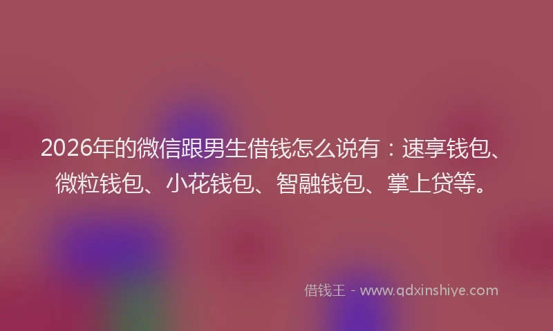 2026年的微信跟男生借钱怎么说有：速享钱包、微粒钱包、小花钱包、智融钱包、掌上贷等。