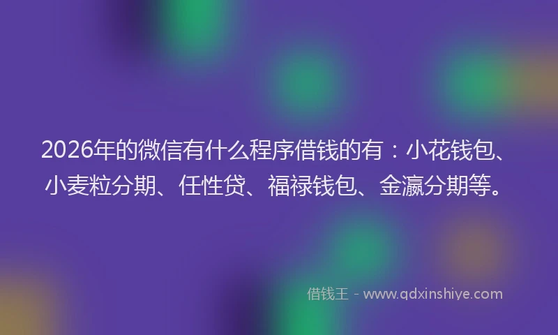 2026年的微信有什么程序借钱的有：小花钱包、小麦粒分期、任性贷、福禄钱包、金瀛分期等。