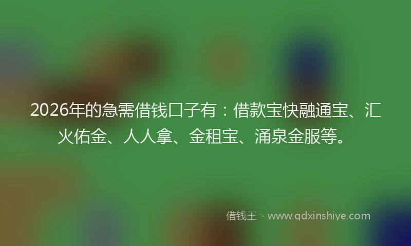 2026年的急需借钱口子有：借款宝快融通宝、汇火佑金、人人拿、金租宝、涌泉金服等。