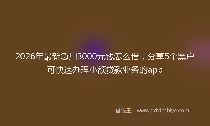 2026年最新急用3000元钱怎么借，分享5个黑户可快速办理小额贷款业务的app