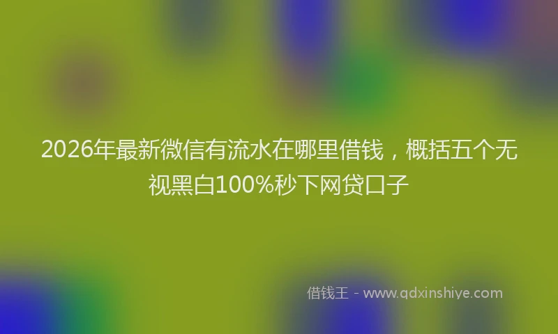 2026年最新微信有流水在哪里借钱，概括五个无视黑白100%秒下网贷口子