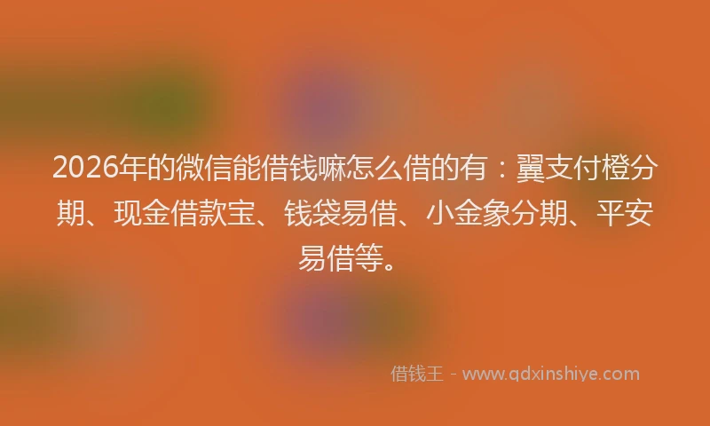 2026年的微信能借钱嘛怎么借的有：翼支付橙分期、现金借款宝、钱袋易借、小金象分期、平安易借等。