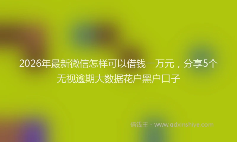 2026年最新微信怎样可以借钱一万元，分享5个无视逾期大数据花户黑户口子