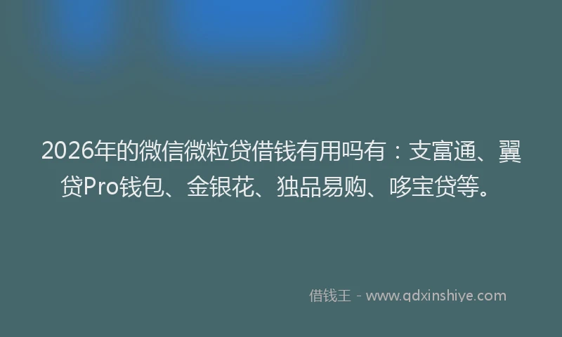 2026年的微信微粒贷借钱有用吗有：支富通、翼贷Pro钱包、金银花、独品易购、哆宝贷等。