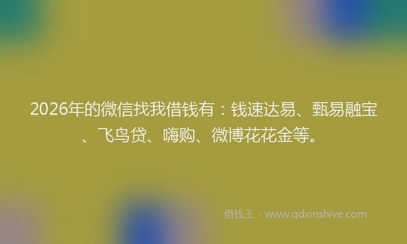 2026年的微信找我借钱有：钱速达易、甄易融宝、飞鸟贷、嗨购、微博花花金等。