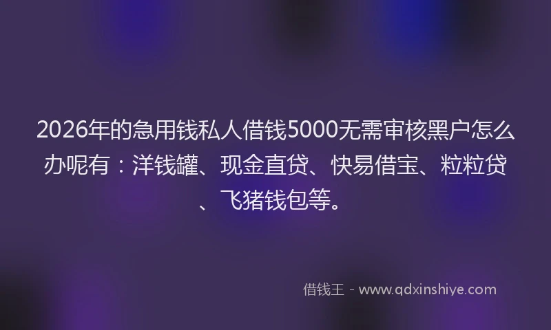 2026年的急用钱私人借钱5000无需审核黑户怎么办呢有：洋钱罐、现金直贷、快易借宝、粒粒贷、飞猪钱包等。