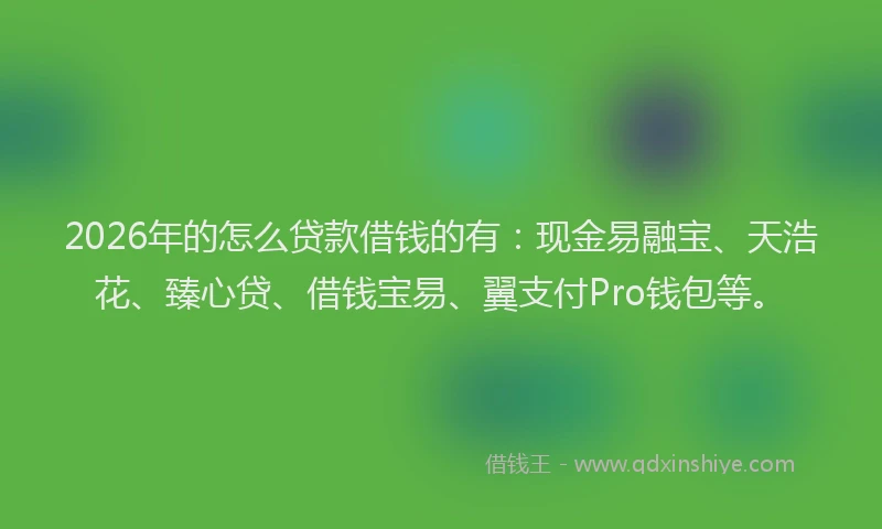 2026年的怎么贷款借钱的有:现金易融宝、天浩花、臻心贷、借钱宝易、翼支付Pro钱包等。