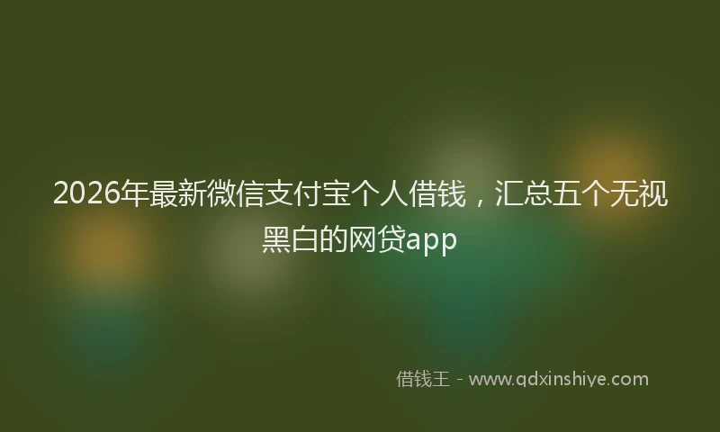 2026年最新微信支付宝个人借钱，汇总五个无视黑白的网贷app
