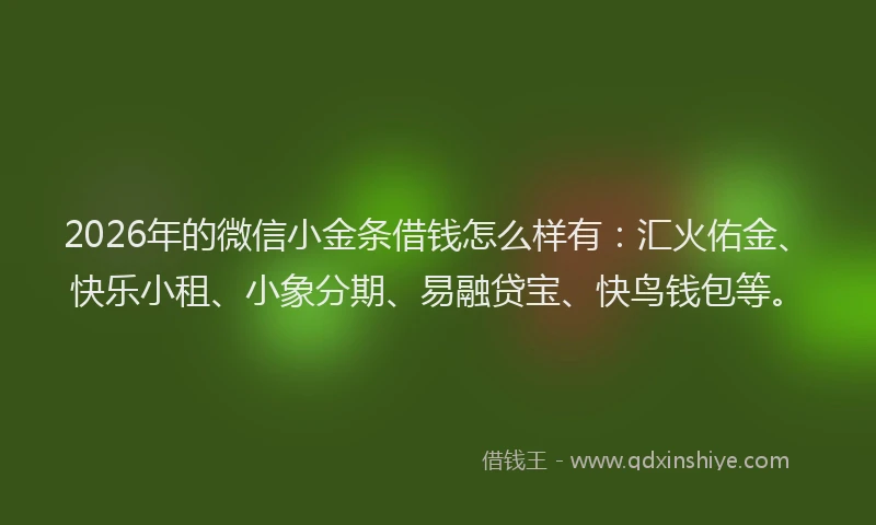 2026年的微信小金条借钱怎么样有：汇火佑金、快乐小租、小象分期、易融贷宝、快鸟钱包等。