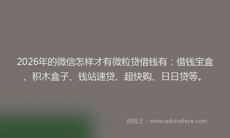 2026年的微信怎样才有微粒贷借钱有：借钱宝盒、积木盒子、钱站速贷、超快购、日日贷等。