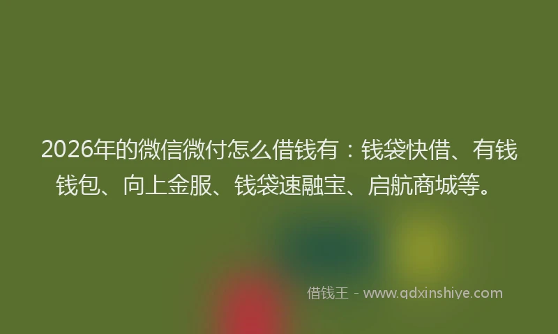 2026年的微信微付怎么借钱有：钱袋快借、有钱钱包、向上金服、钱袋速融宝、启航商城等。